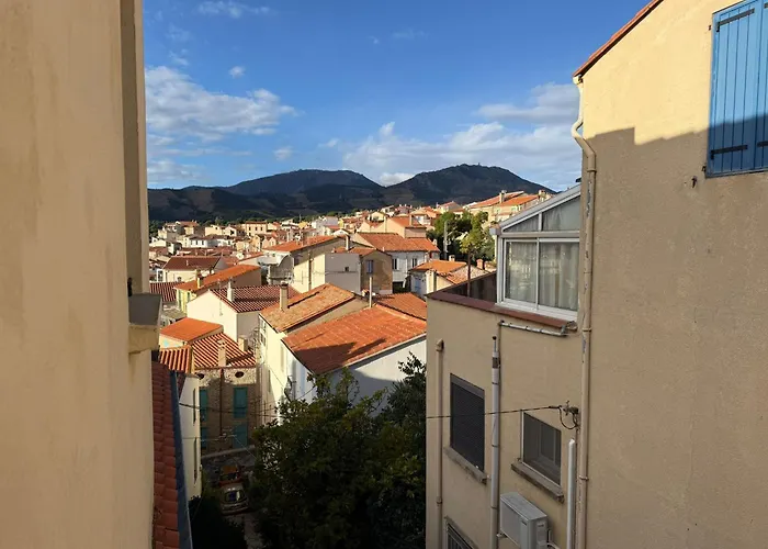 F3 En Centre-ville De Avec Terrasse - Fr-1-309-58 * Banyuls-sur-Mer
